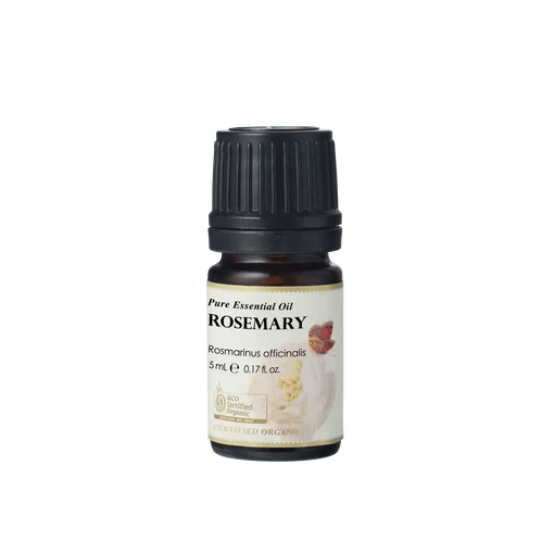 Ausganica Organic Essential Oil Rosemary 10ml Health & Beauty Oborne Health Supplies/CH2 