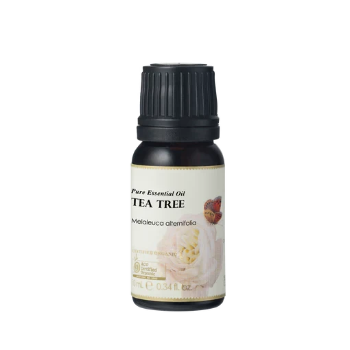 Ausganica Organic Essential Oil Tea Tree 10ml Health & Beauty Oborne Health Supplies/CH2 