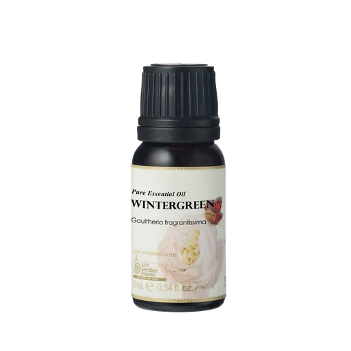 Ausganica Organic Essential Oil Wintergreen 10ml Health & Beauty Oborne Health Supplies/CH2 