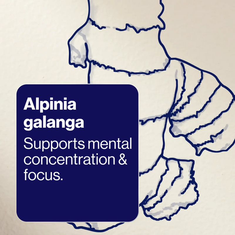 Bioceuticals Cognition Performance+ 60 Caps Supplement Bioceuticals Pty Ltd 