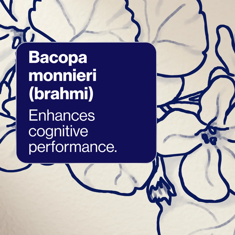 Bioceuticals Cognition Performance+ 60 Caps Supplement Bioceuticals Pty Ltd 