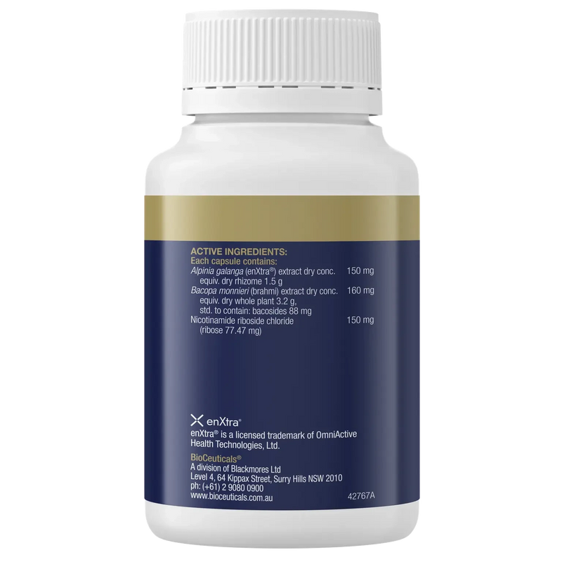 Bioceuticals Cognition Performance+ 60 Caps Supplement Bioceuticals Pty Ltd 