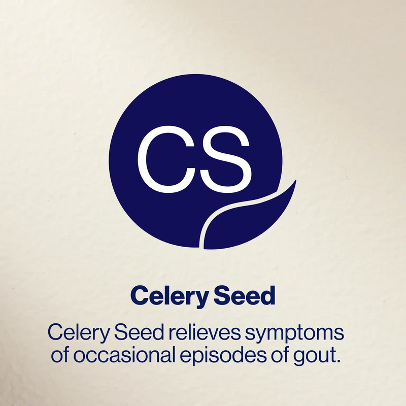 Bioceuticals Gout Complex 90 tabs Supplement Bioceuticals Pty Ltd 