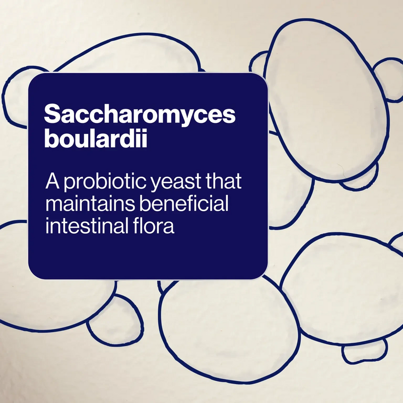 Bioceuticals SB Floractiv 500 Supplement Bioceuticals Pty Ltd 