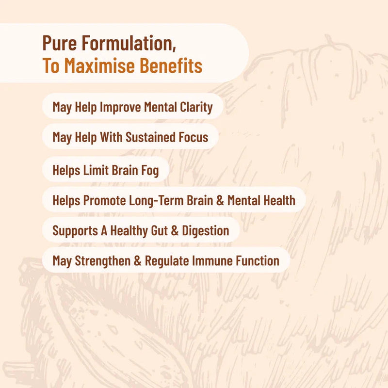 Evolution Botanicals Lion's Mane Extract 100g Supplement Unique Health Products 