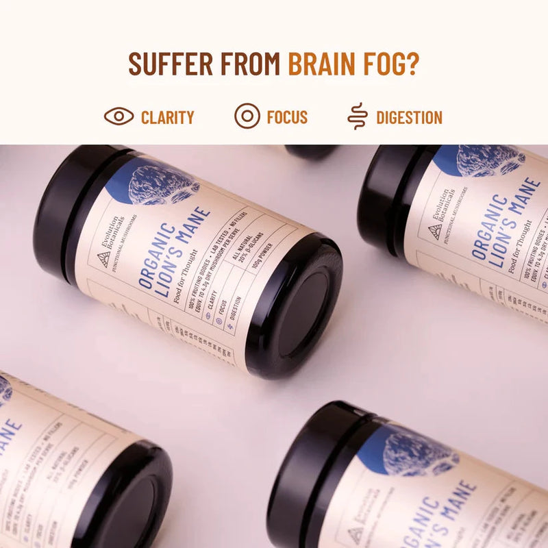 Evolution Botanicals Lion's Mane Extract 100g Supplement Unique Health Products 