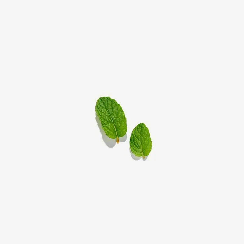 Love Tea Peppermint Tea Herbal Teas Love Tea 