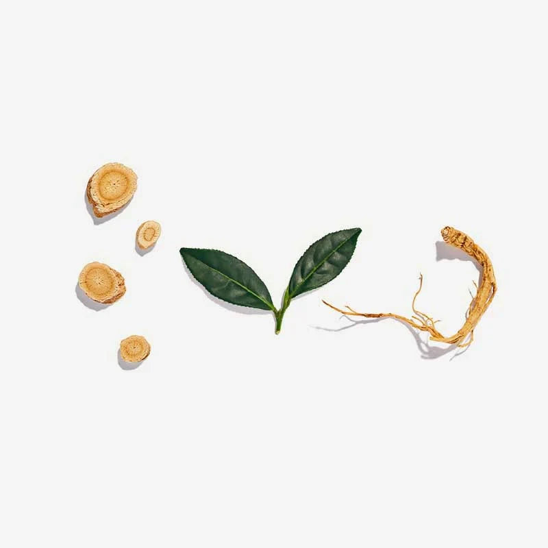 Love Tea Vitality Tea Herbal Teas Love Tea 