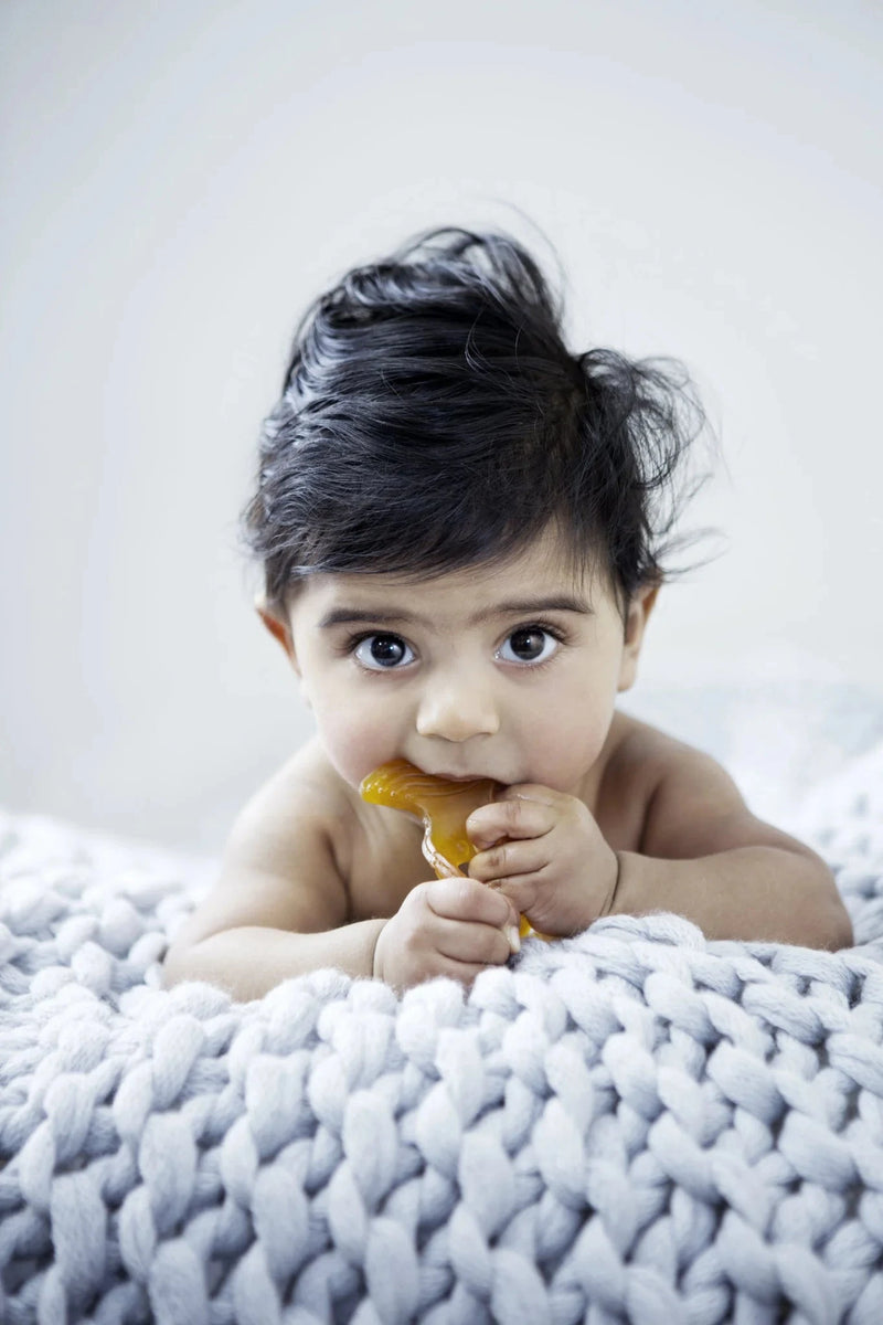 Natural Rubber Soother Fish Teether Twin Pack Health & Beauty Oborne Health Supplies 