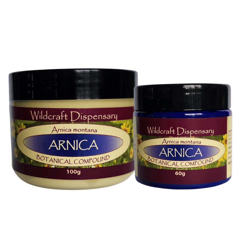 Wildcraft Dispensary Arnica Herbal Ointment 60g Natural Skincare Oborne Health Supplies/CH2 