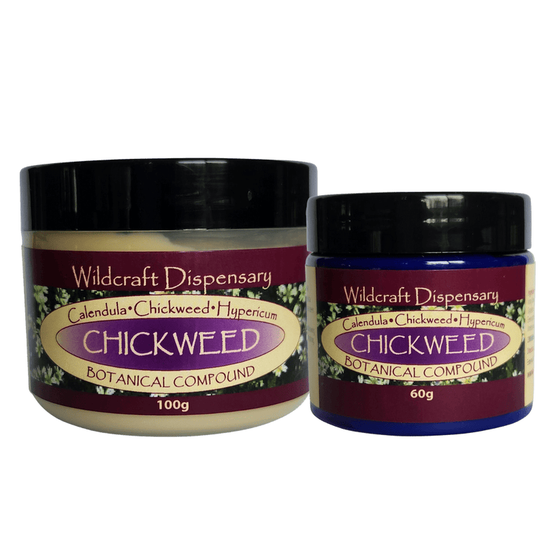 WildCraft Dispensary Chickweed Ointment Natural Skincare Oborne Health Supplies/CH2 