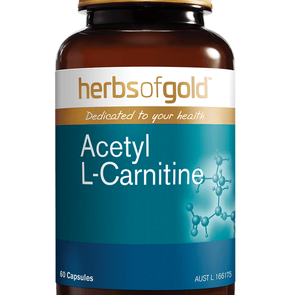 herbs of gold acetyl l-carnitine – Mammoth Health zinc supplement FastandUp - India's Authentic Flavour:Mango
