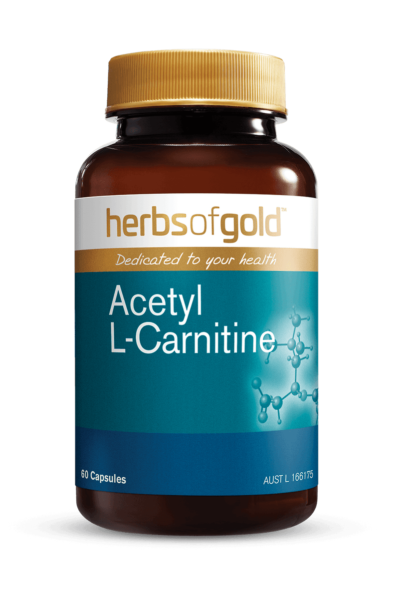 herbs of gold acetyl l-carnitine for Energy Production Herbs Of Gold Acetyl L-Carnitine,