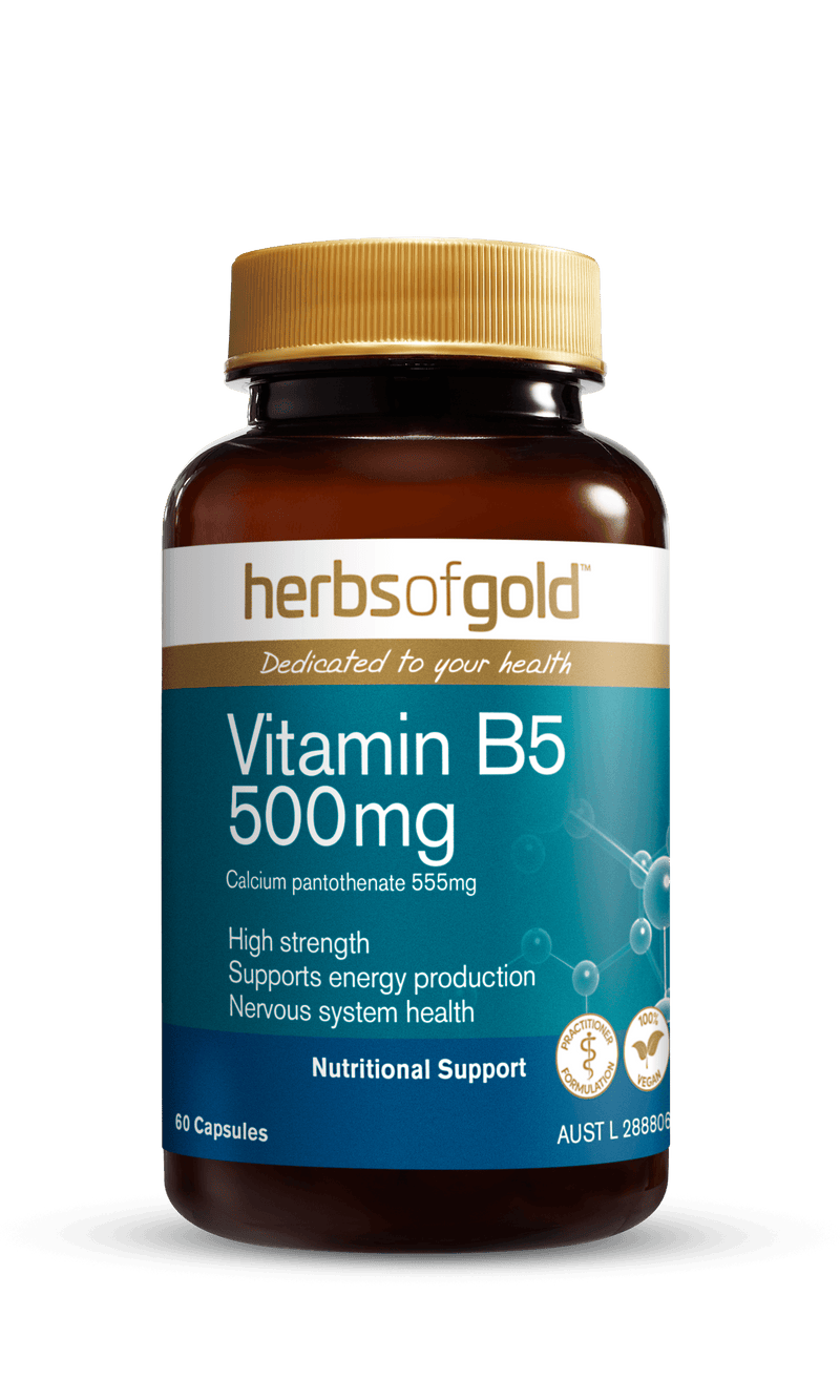 Herbs of Gold Vitamin B5 500mg Supplement Herbs of Gold Pty Ltd 