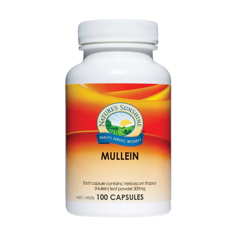 Natures Sunshine Mullein 300mg Supplement Natures Sunshine 