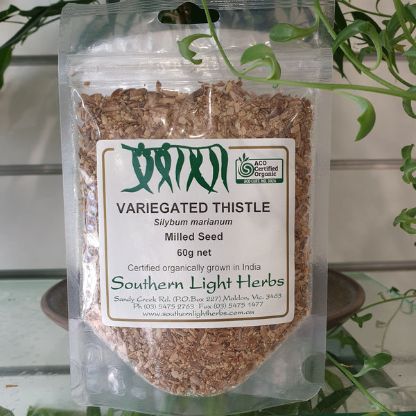 Southern Light Herbs Varigated Thistle Herbal Teas Southern Light Herbs 