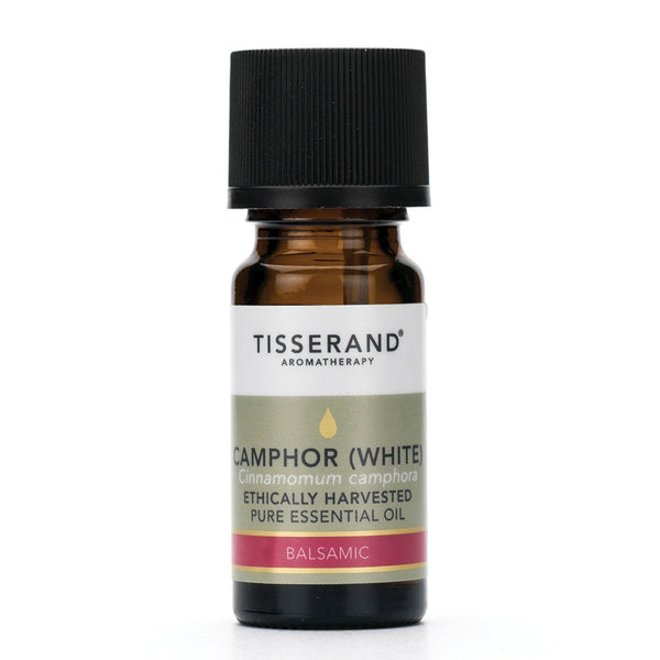 Tisserand Camphor White Essential Oil Health & Beauty Oborne Health Supplies 